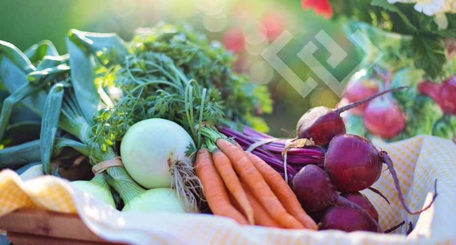 Farm, table, whidbey island, fresh, local, locally grown, farmers 