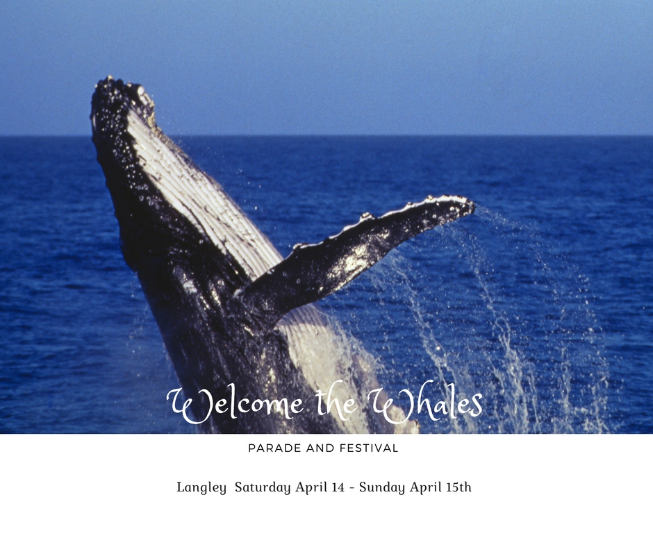 Welcome the Whales, Whidbey Island, windermere