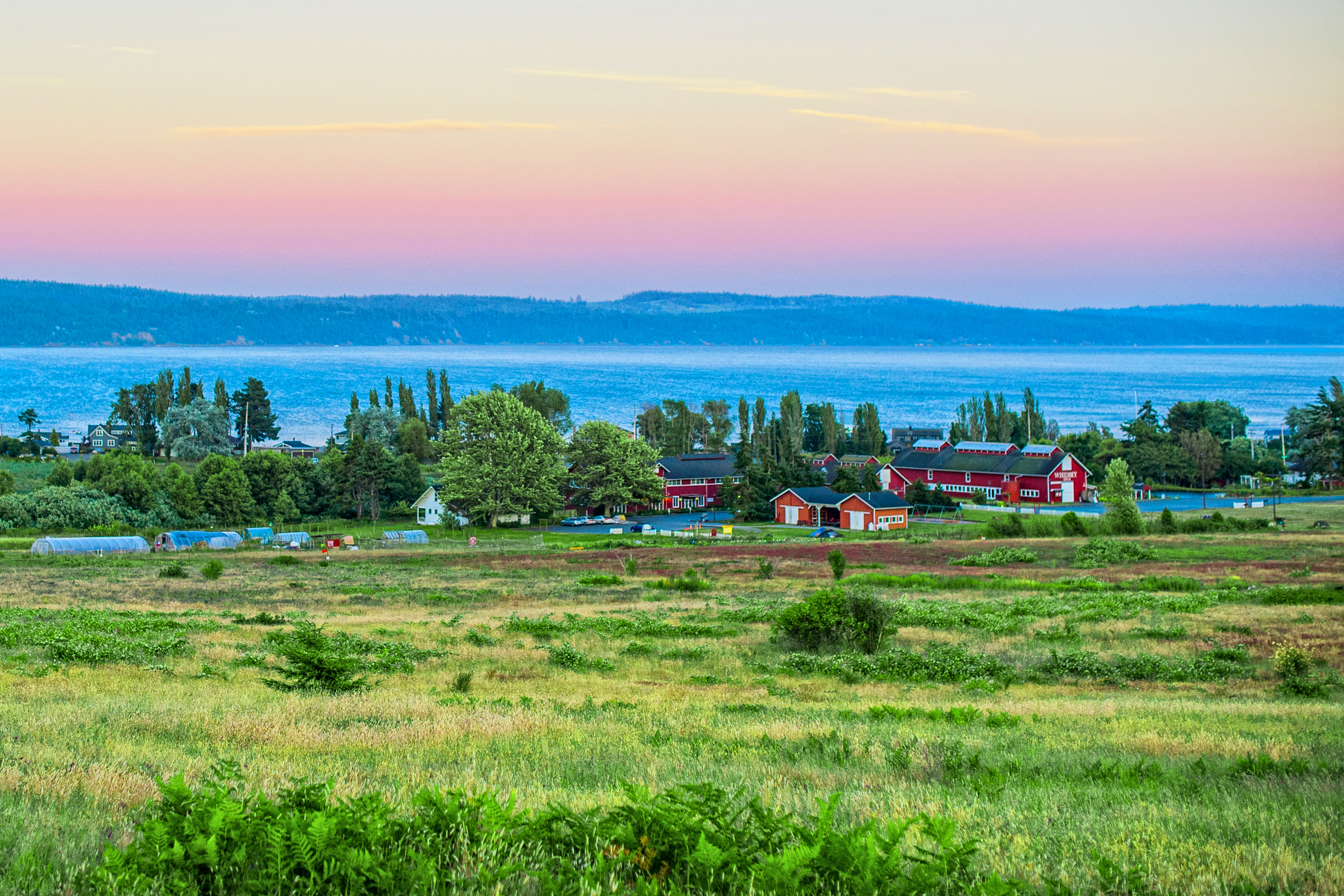 Agents Windermere Whidbey