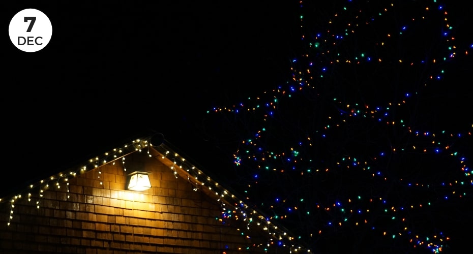 Holiday lights, Tour, Island Transit, whidbey Island, Coupeville, Oak Harbor , View, event, local, things to do, Celebrate, Christmas