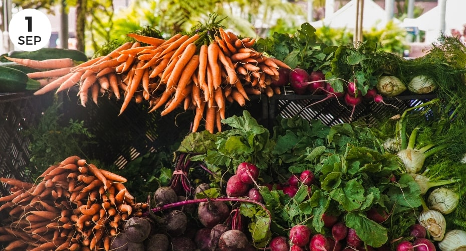 Langley, Tilth Farmers Market, Whidbey island, fresh produce