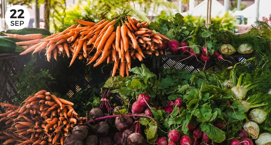 Farmers Market, Langley, Whidbey Island, washington, local event