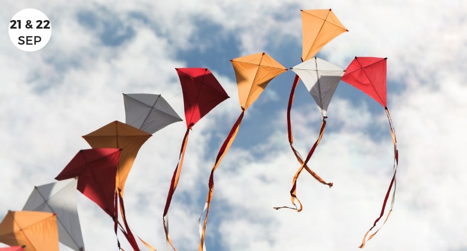 Events, Whidbey island, Local, Things to do on whidbey, whidbey island, coupeville, activities, kites