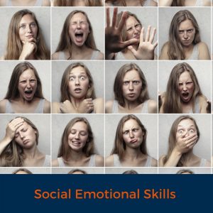 Social Emotional Skills