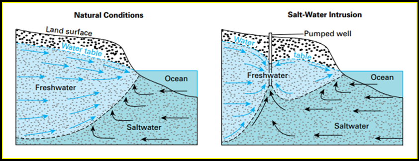 Drinking Water On Whidbey, Windermere Real Estate 