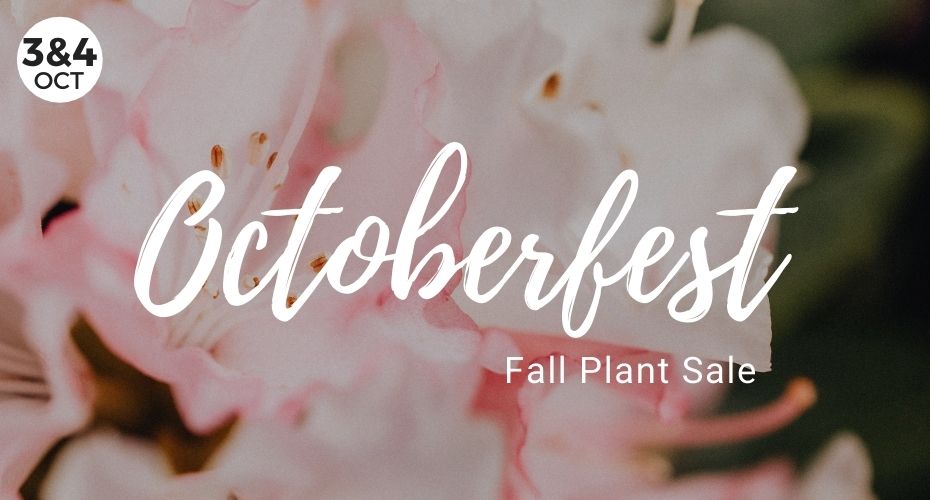Octoberfest Fall Plant Sale, Meerkerk Gardens, Whidbey Island, Washington, Event