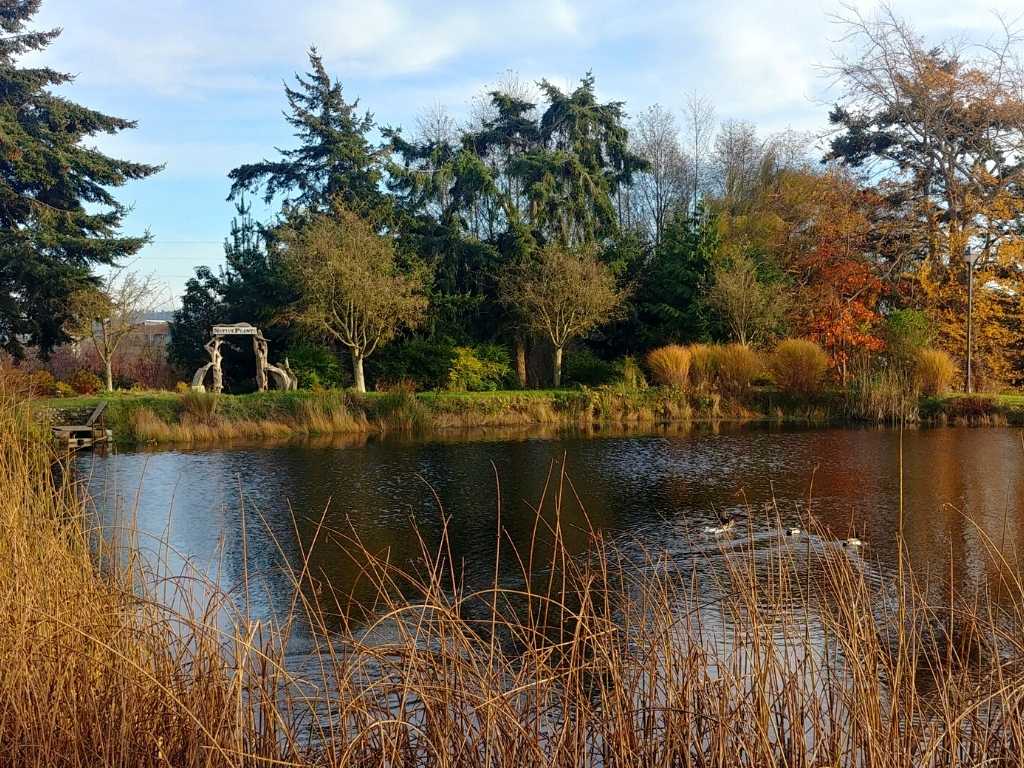 Greenbank WA Whidbey Island - Farm pond